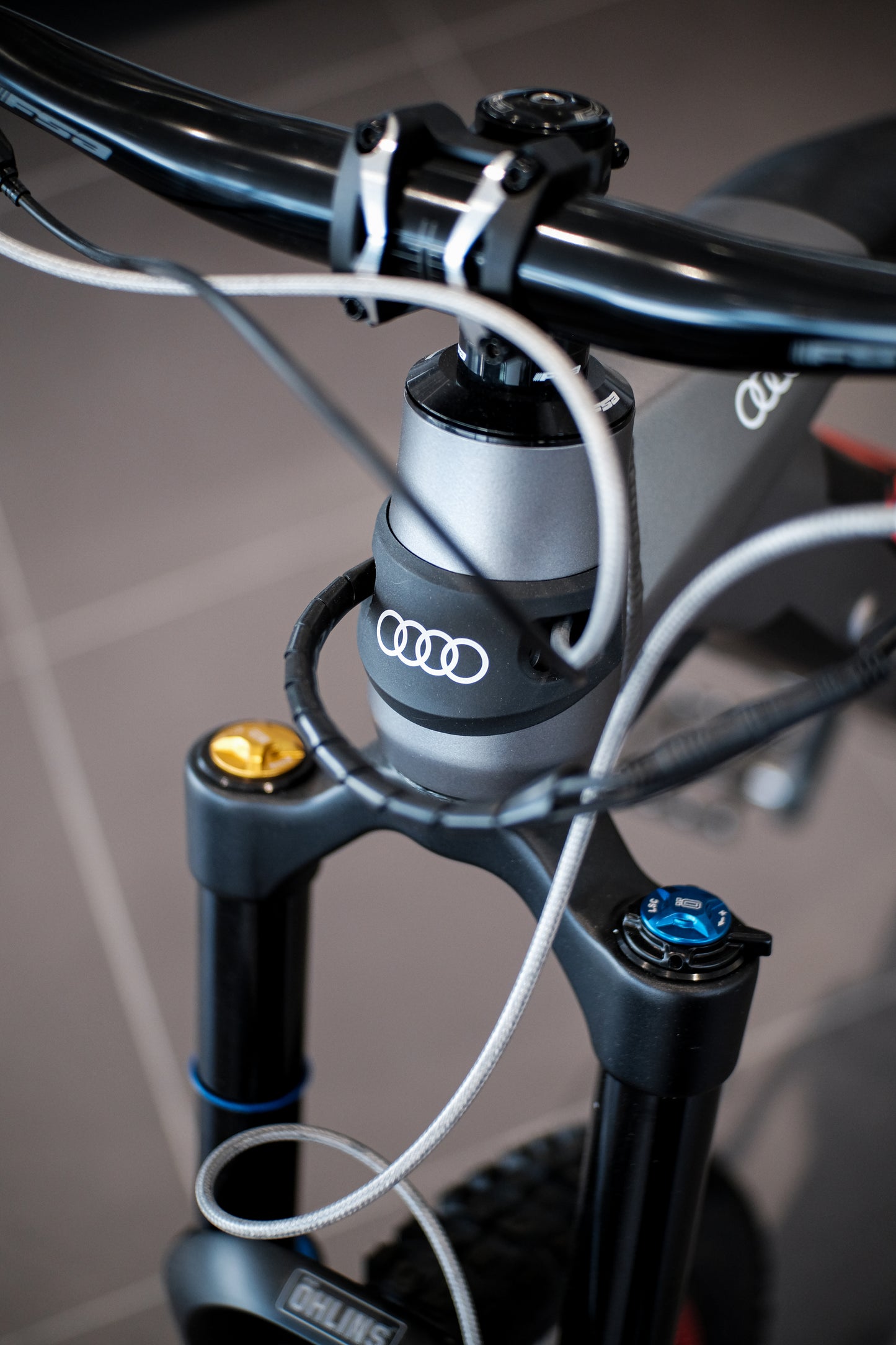 Audi Electric Mountain Bike